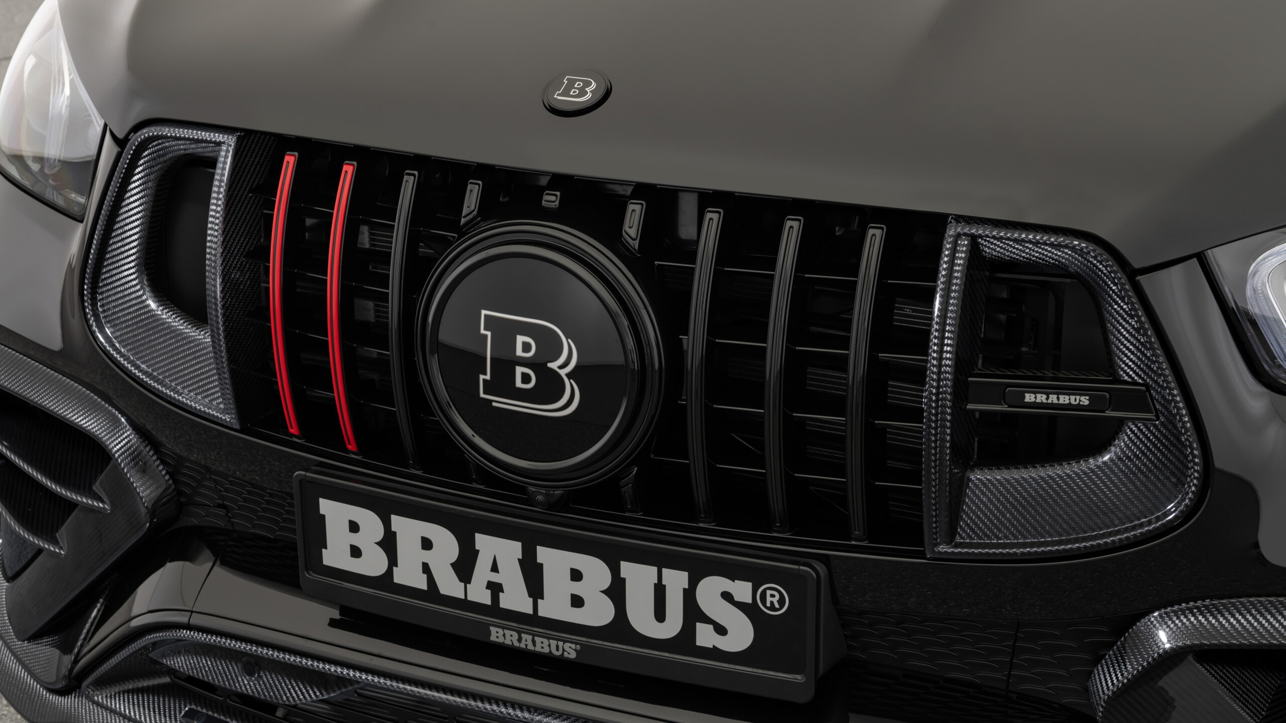 Carbon front grille inserts for Mercedes – C 167 – AMG GLE 63