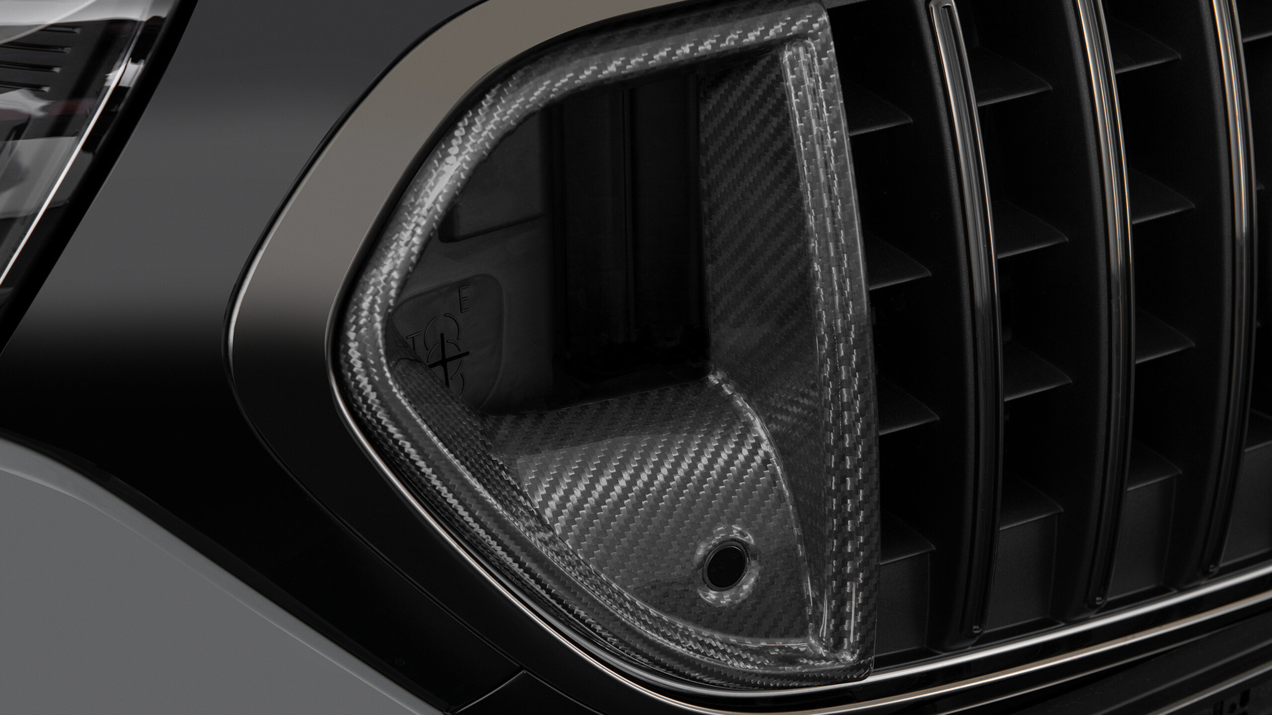Carbon Front grille inserts for Mercedes – W 214 – AMG E 53