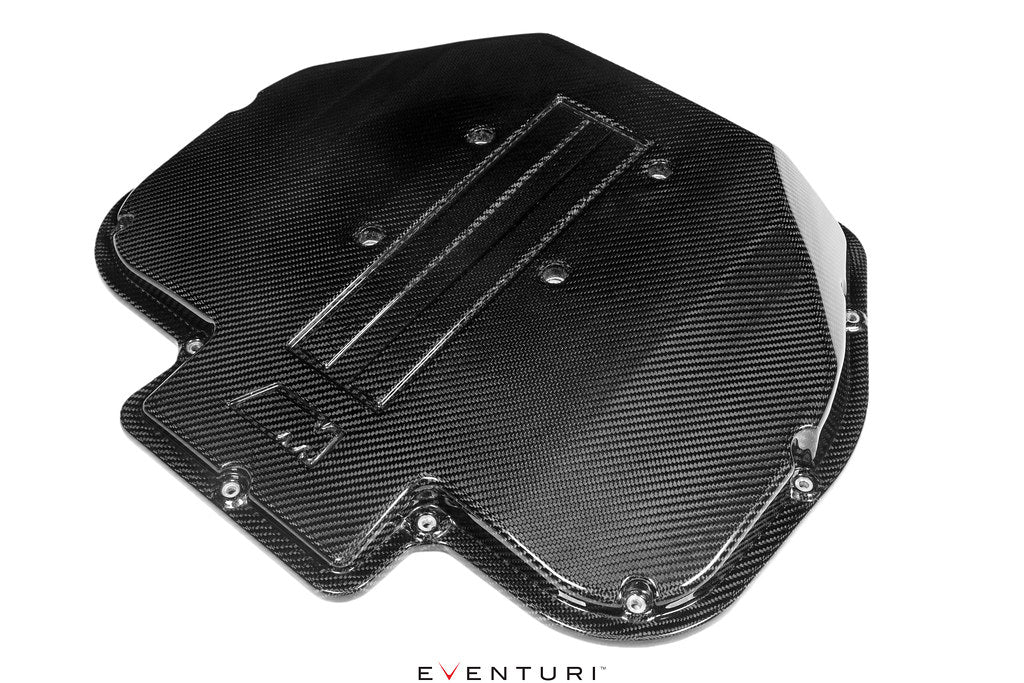 Carbon Fiber Plenum Cover for BMW E39 M5 and Z8 (S62) thumbnail 5