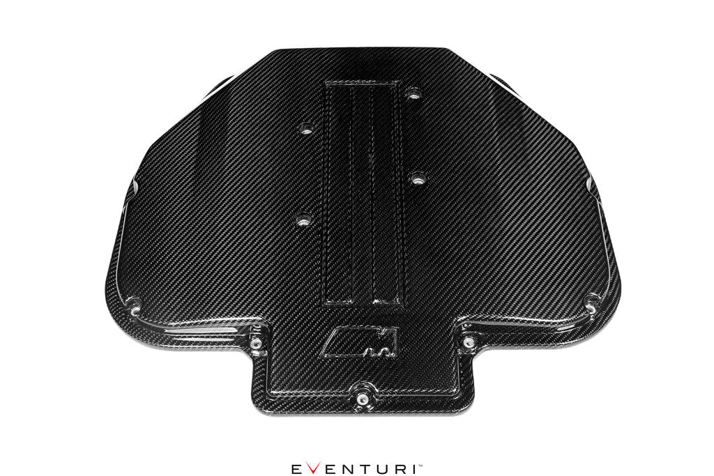 Carbon Fiber Plenum Cover for BMW E39 M5 and Z8 (S62) - Image 1