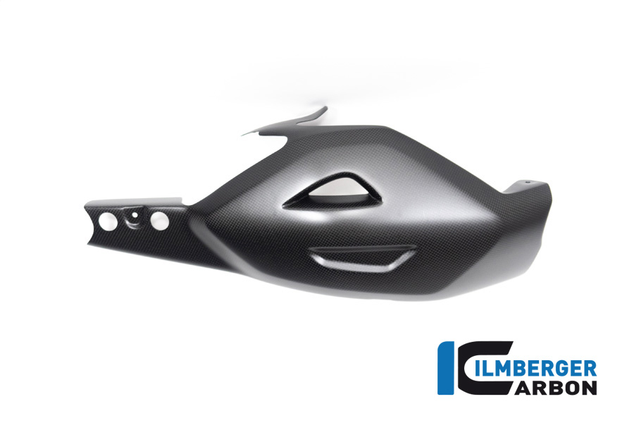 Swing arm cover Ducati Diavel V4 from 2023 matt