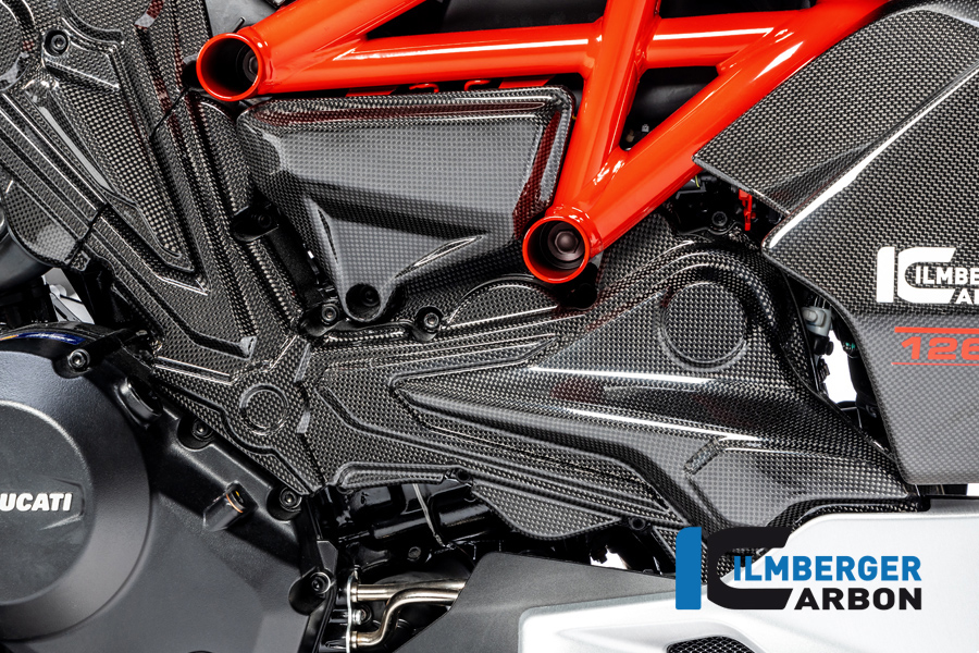 Cambelt cover horizontal cylinder gloss Diavel 1260