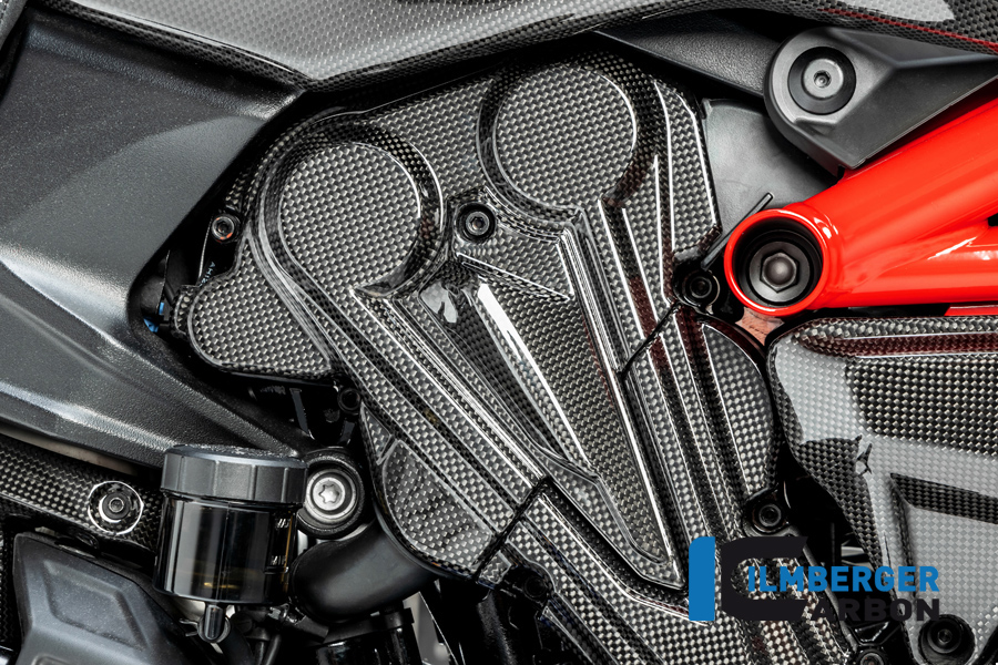 Cambelt cover vertical cylinder gloss Diavel 1260