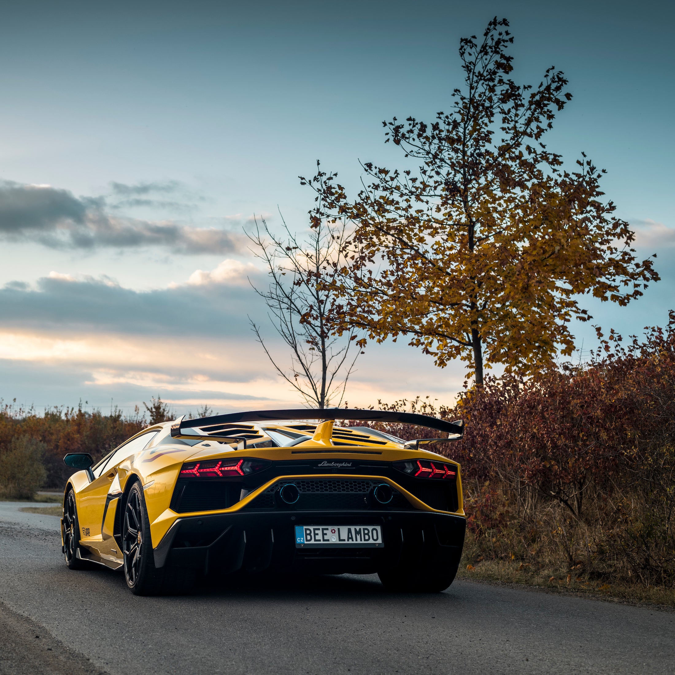 Вихлопна система Lamborghini Aventador SVJ